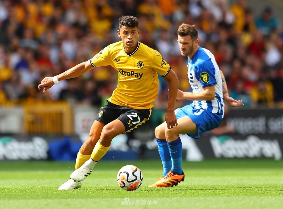 拥有丰富的 拥有丰富的